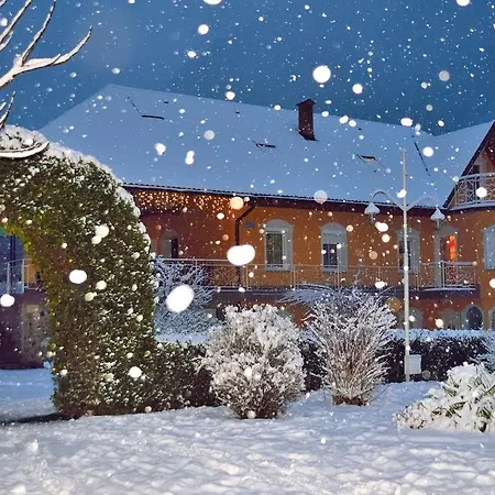 Daire Sotocje Dolenja Trebusa