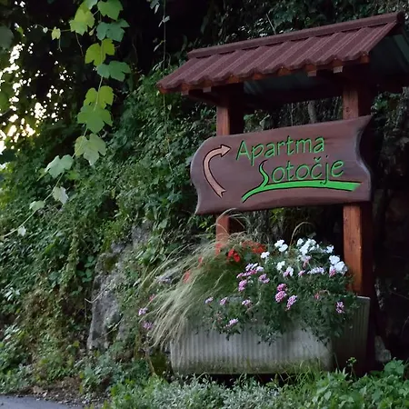 Apartman Sotocje
