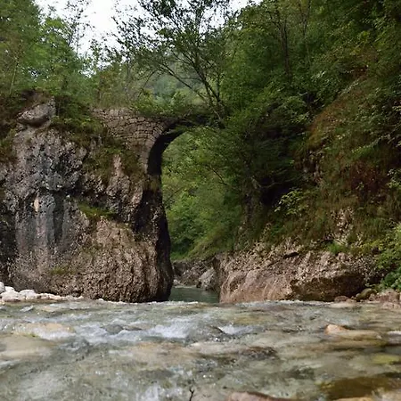 Daire Sotocje Dolenja Trebusa