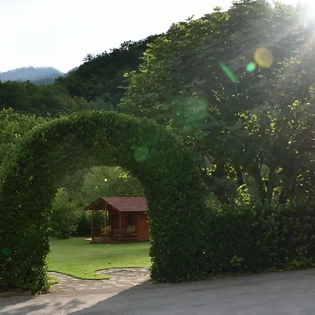 Sotocje Dolenja Trebusa