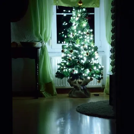 Apartma Sotocje