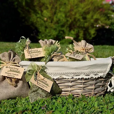 Sotocje * Dolenja Trebusa