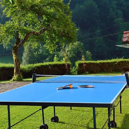 Apartman Sotocje Dolenja Trebusa