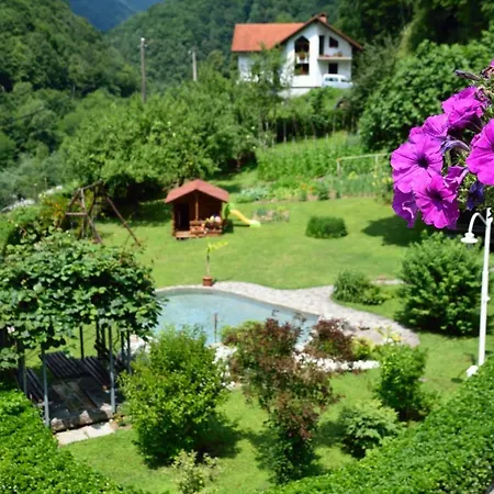 Sotocje Dolenja Trebusa