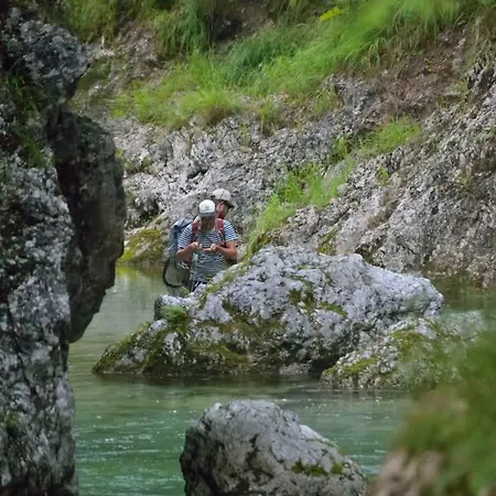 Sotocje Apartma *