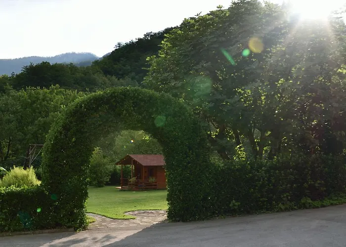 Sotocje Dolenja Trebusa