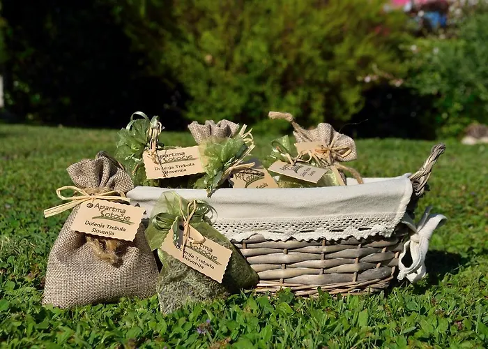 Sotocje * Dolenja Trebusa