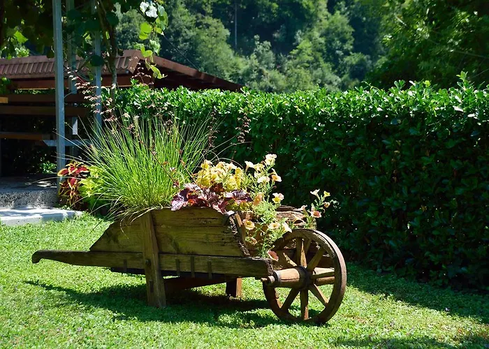 Sotocje Dolenja Trebusa